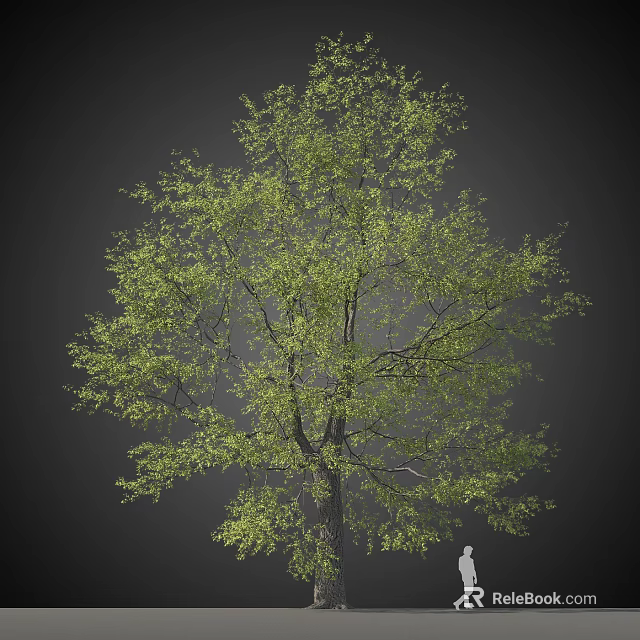 Lush Green Tree With Dense Foliage And Strong Trunk In Dark Background 3d model 