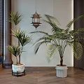 Large Indoor Potted Palm Plants in Modern Room with Wooden Elements and Window Blinds