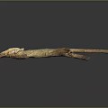 Natural Wooden Branch With Authentic Texture And Knots On Smooth Black Surface