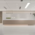 Modern Front Desk Reception Area With Pendant Lights And Indoor Green Plant Design