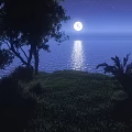 Serene Night Landscape With Full Moon Milky Way Ocean Reflection Green Grass And Palm Trees