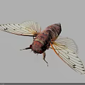 3D Rendered Red Cicada With Transparent Orange Veined Wings And Detailed Body Structure