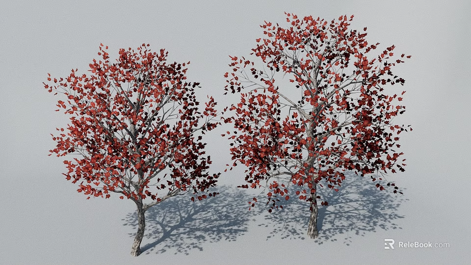 Two Red Leaf Trees With Clear Trunks Branches On White Background And Shadows 3d model 