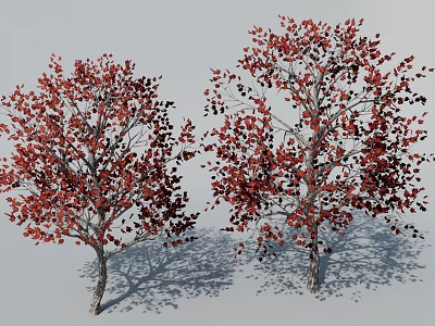 Two Red Leaf Trees With Clear Trunks Branches On White Background And Shadows 3d model