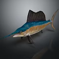 Vibrant Blue And Yellow Sailfish With Large Dorsal Fin And Long Bill In Swimming Pose