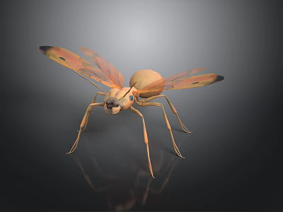 Detailed Orange Flying Ant With Spotted Wings On Dark Reflective Surface 3d model
