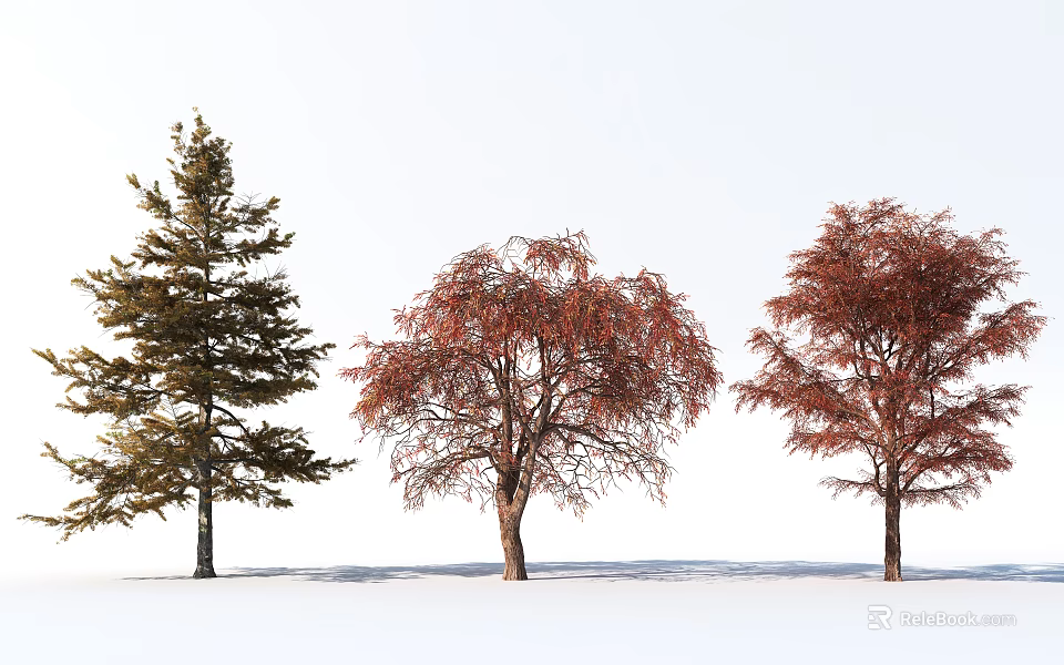 Three Different Arbor Trees With Green and Red Foliage in Natural Setting 3d model 