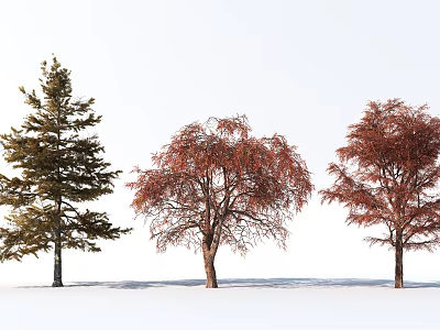 Three Different Arbor Trees With Green and Red Foliage in Natural Setting 3d model