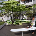 Residential Landscape With Green Trees Water Feature White Railings And Lush Lawn Near Building