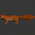 Realistic Detailed Red Fur Squirrel 3D Model Standing on White Background 3d model