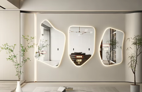Modern Mirror Dressing Mirror Art Mirror Alien Mirror Floor Mirror Irregular Mirror Full-length Mirror 3d model