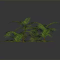 Green Tropical Plants With Lush Palm Leaves And Fern Foliage On Gray Background