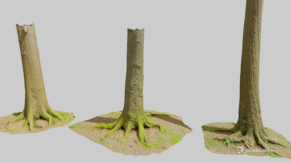 Natural Scene With Tree Stumps Exposed Roots And Green Moss On Earth Ground 3d model 
