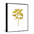Two Botanical Prints With Golden Plant Foliage on White Background in Black Frames