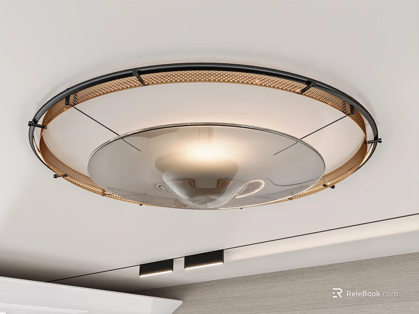 Modern Round Ceiling Light With Metal Frame And Glass Shade 3d model