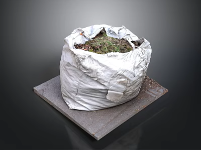Plant Wrapped In White Bag Placed On Square Stone Slab 3d model