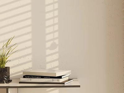 Decorative Ornament Combination Featuring Green Plant Black Pot Book Stack Table Blinds Shadows White Wall 3d model