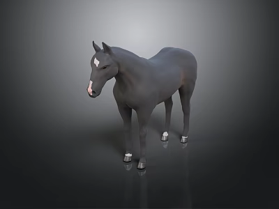 Realistic Gray Horse with White Hooves and White Forehead Mark on Black Background 3d model