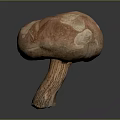 Detailed Mushroom Plant With Textured Brown Red Cap And Long Stem