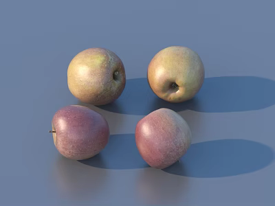 Four Fresh Ripe Yellow And Red Apples Arranged On Gray Background 3d model