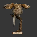 Stuffed Flying Bird Taxidermy Perched On Branch With Wooden Display Base