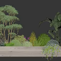 Vibrant Garden Shrubs in White Wooden Planter with Small Trees and Purple Flowers