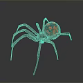 Detailed View Of Black Spider With Red Spots On Abdomen And Long Legs
