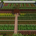 Garden Landscape Featuring Neatly Arranged Planting Beds Wooden Pathway Pavilion Pond And Yellow Flowers