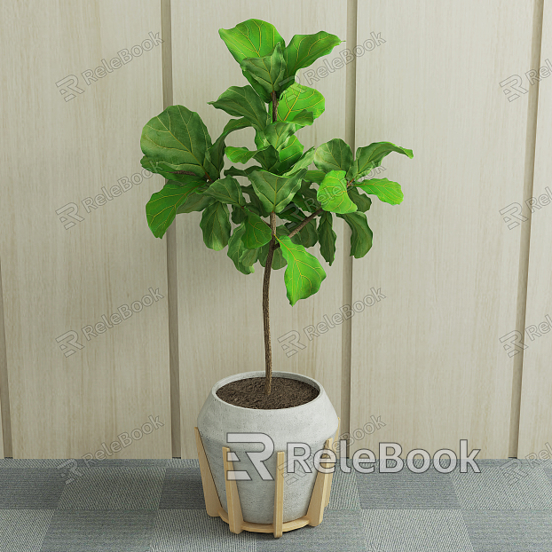 Nordic Potted Green Plant model