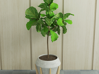 Nordic Potted Green Plant model