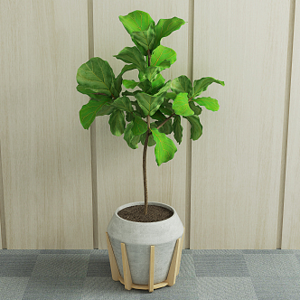 Nordic Potted Green Plant 3d model