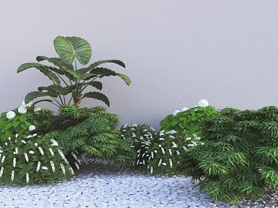 Shrubs With White Flowers Green Foliage And Large Leaves Against Wall On Pebble Ground 3d model