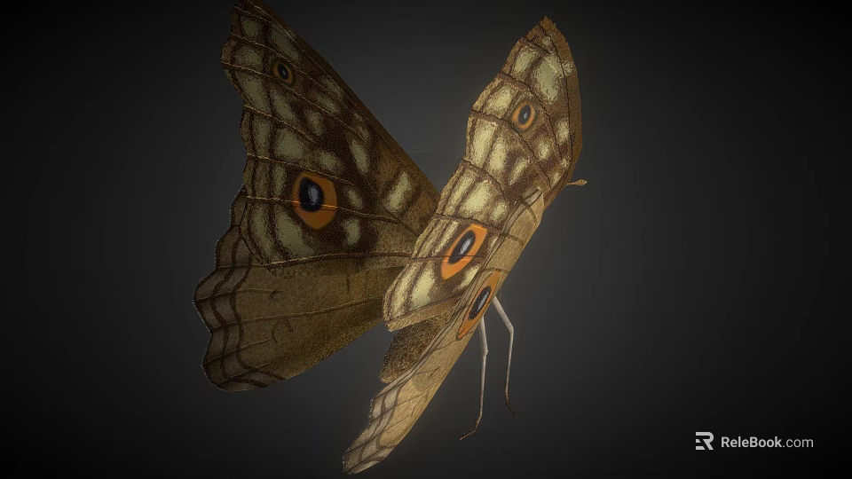 Game Movie Character Butterfly Featuring Intricate Wing Patterns And 3D Render Design 3d model