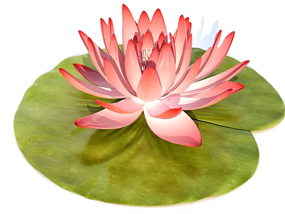 Beautiful Pink Lotus Flower With Delicate Petals On Green Lily Pad 3d model