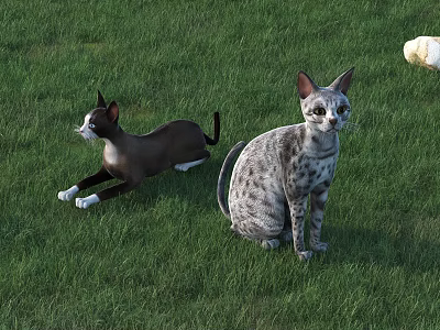 Reptiles Resting On Green Grass With Brown And Gray Color Patterns 3d model