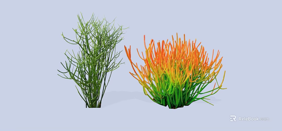 Garden Shrubs Featuring Green Slender Branches And Orange Green Dense Foliage 3d model 