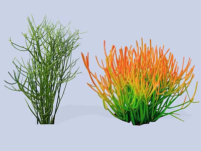 Garden Shrubs Featuring Green Slender Branches And Orange Green Dense Foliage 3d model