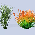Garden Shrubs Featuring Green Slender Branches And Orange Green Dense Foliage