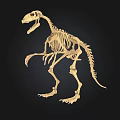 Realistic Dinosaur Skeleton 3D Model In Standing Posture With Detailed Bone Structure 3d model