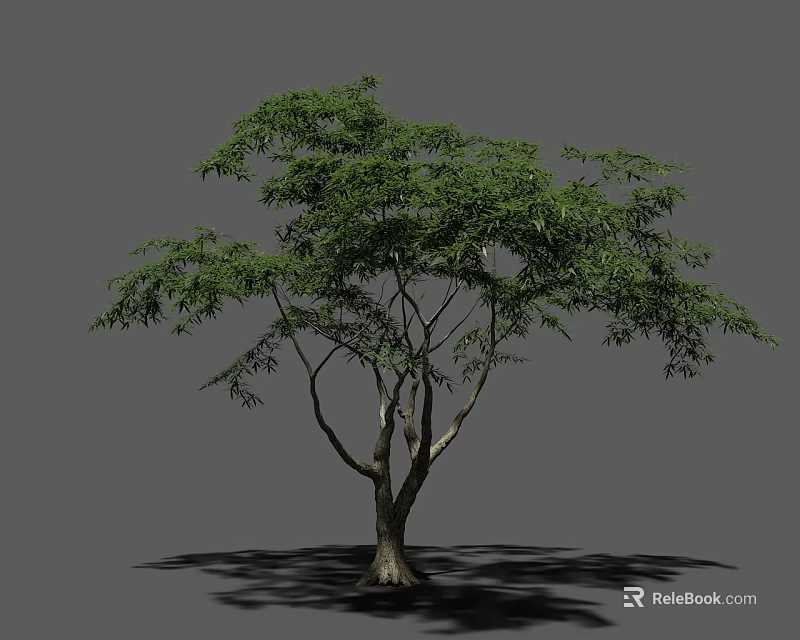Lush Green Tree With Dense Foliage Strong Trunk And Natural Shadow 3d model