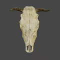 Vintage Bull Skull with Natural Horns as Decorative Wall Art Piece