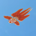 Artistic Orange Goldfish With Flowing Tail Fins On Blue Background Design