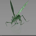 Green Insect Model With Shiny Surface Long Legs And Wings On Dark Background 3d model