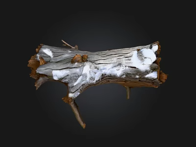 Natural Wood Log With White Stone Patches And Textured Surface 3d model