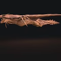 Flying Prehistoric Reptile with Brown Striped Body Large Wings Spikes Flying Posture in Gray Background