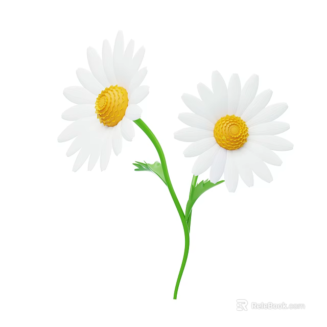 White Petaled Daisies With Yellow Centers And Green Stems And Leaves 3d model 