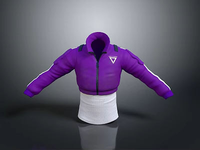 Purple Everyday Jacket With White Stripes Zipper And Stand Collar Design 3d model