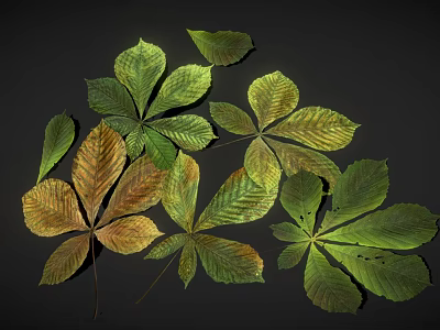 Various Colored Green Yellow Brown Leaves With Horse Chestnut Leaf Shape On Black Background 3d model