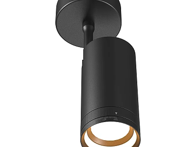Modern Black Downlight Spotlight With Gold Inner Ring For Home Ceiling Decor 3d model
