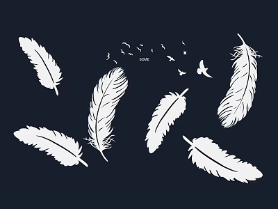 Decorative White Feather And Bird Wall Decor For Dark Background Home Interior 3d model
